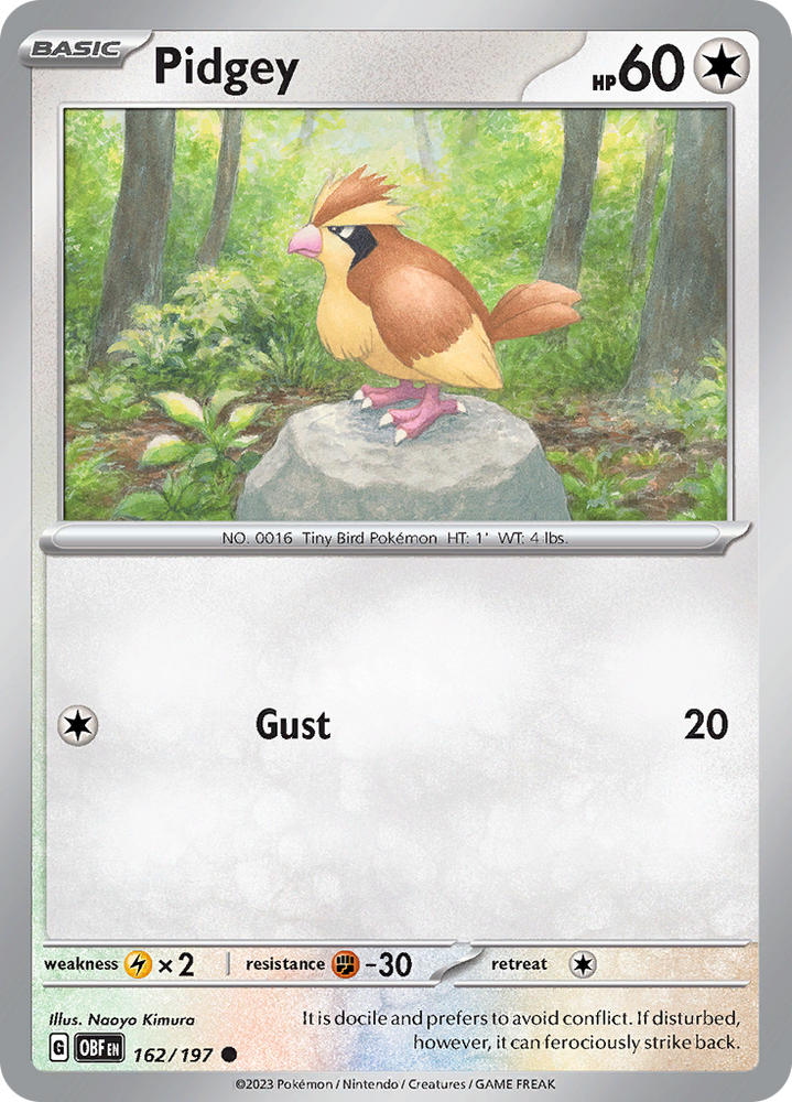 Pidgey (162/197) [Scarlet &amp; Violet: Obsidian Flames] 