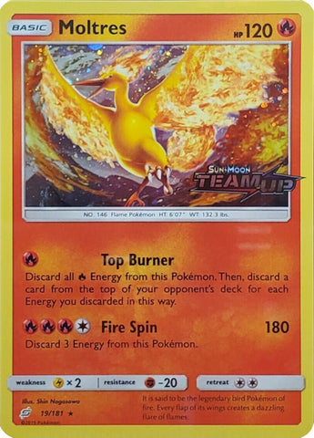 Moltres (19/181) (Stamped) [Sun &amp; Moon: Team Up] 