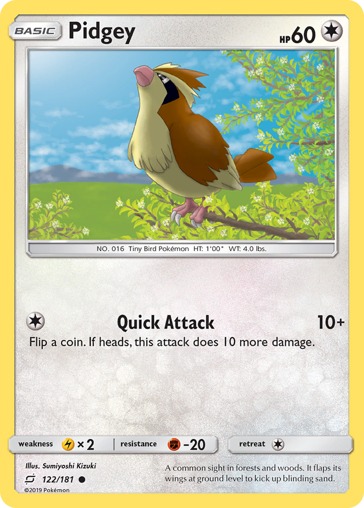 Pidgey (122/181) [Sun &amp; Moon: Team Up] 